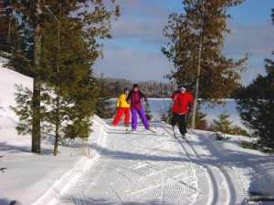 Skiing Cabin Loop Trail    